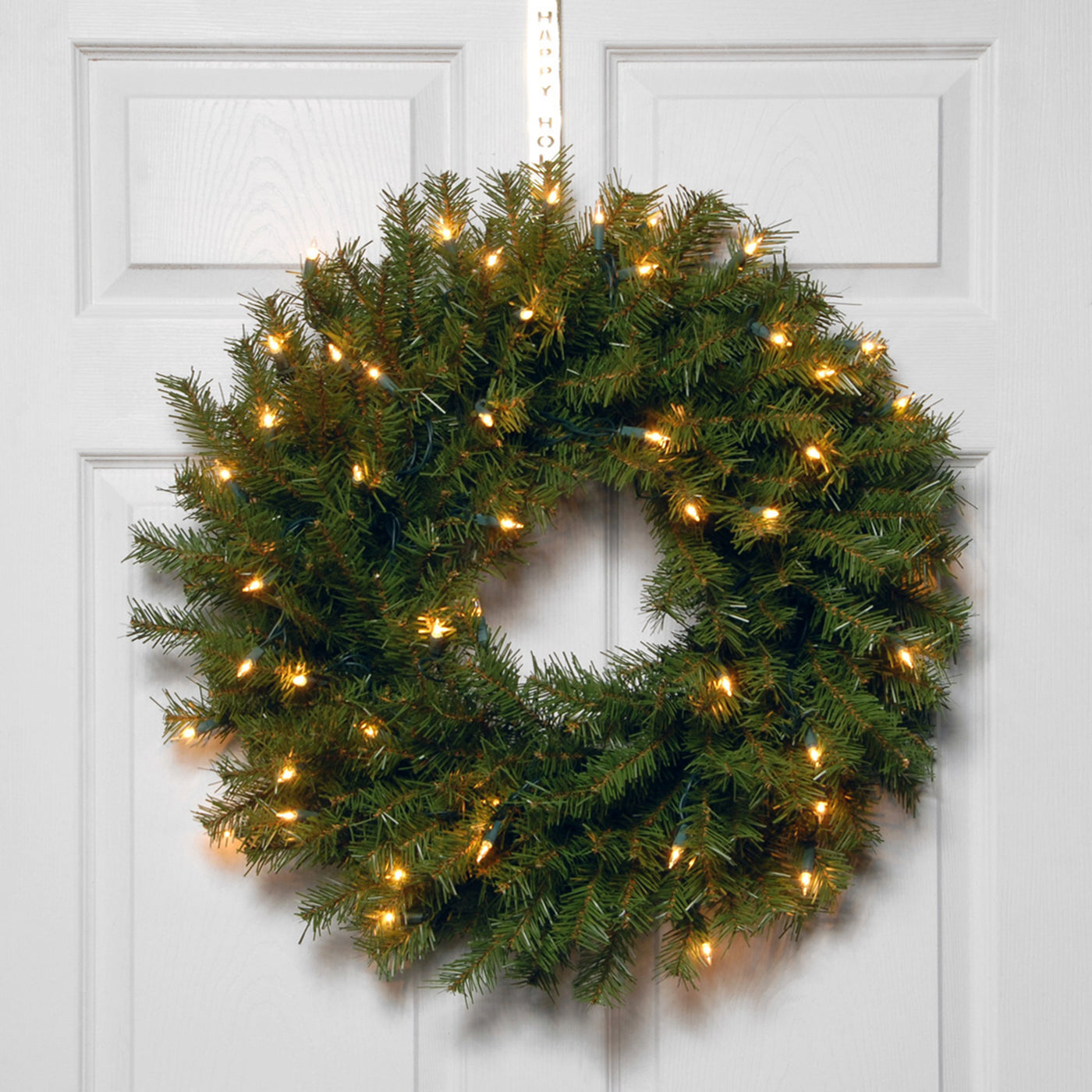 24 in. Pre-Lit Norwood Fir Wreath with Battery Operated Warm White LED Lights