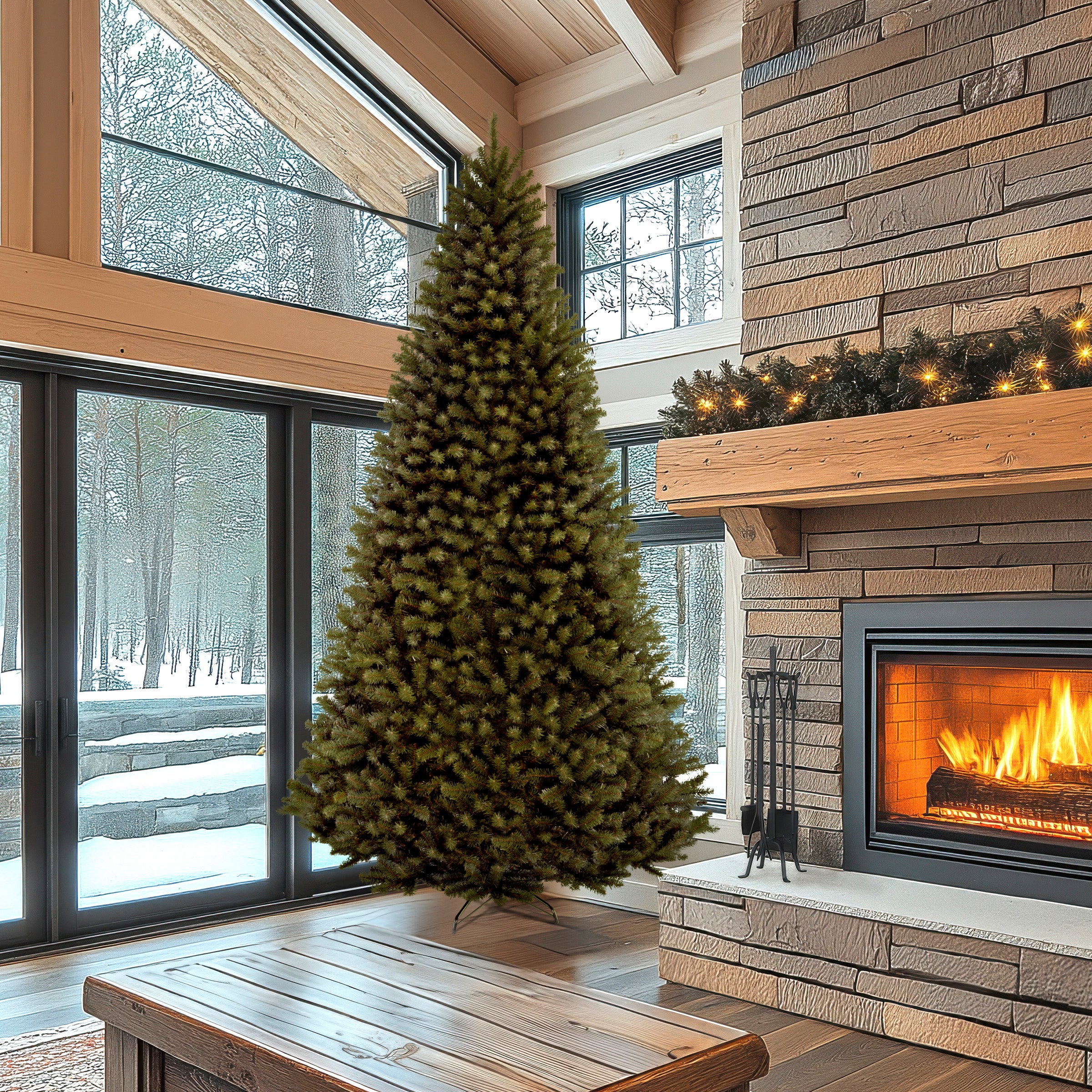 10 ft.  North Valley Spruce Tree