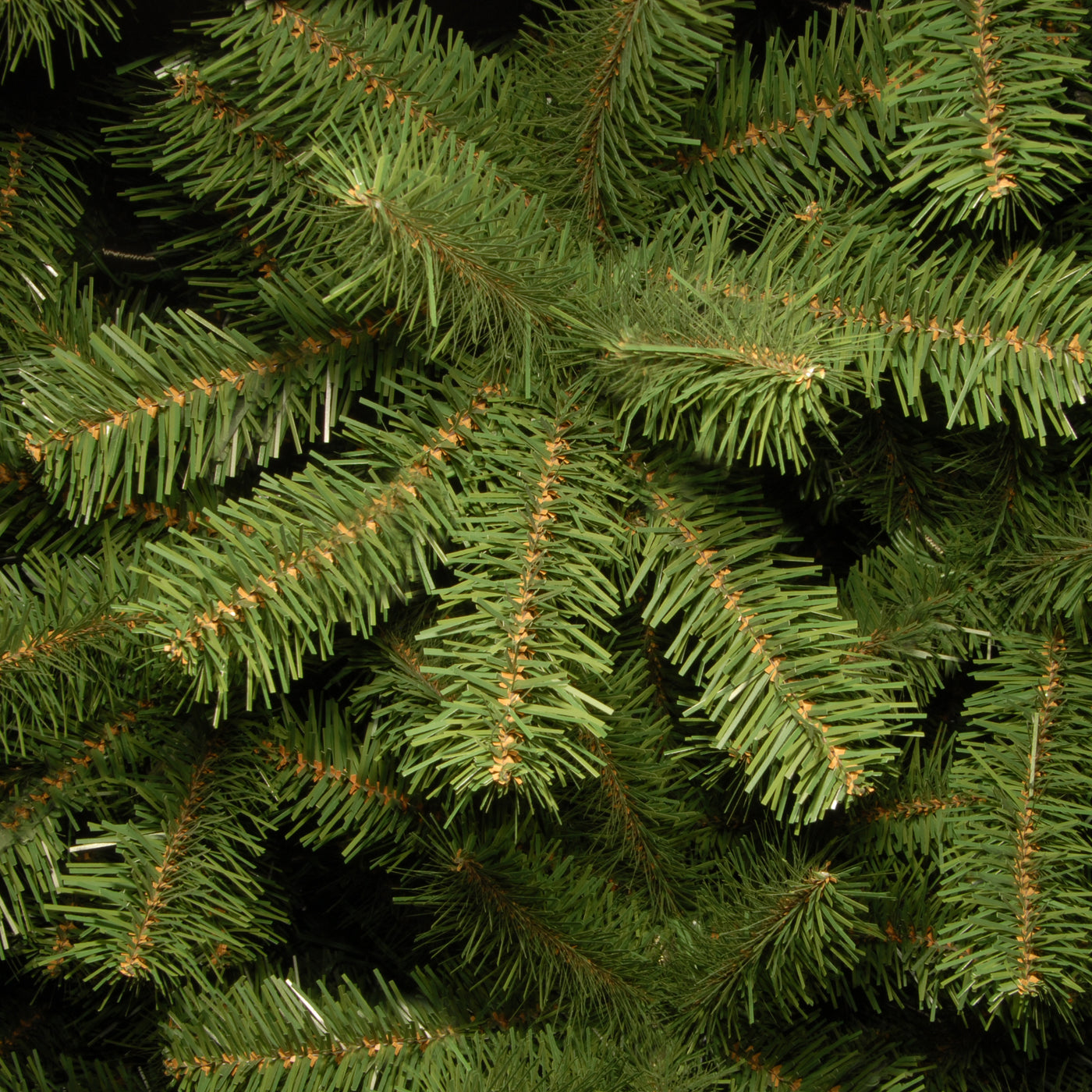 9 ft. North Valley Spruce Pencil Slim Tree