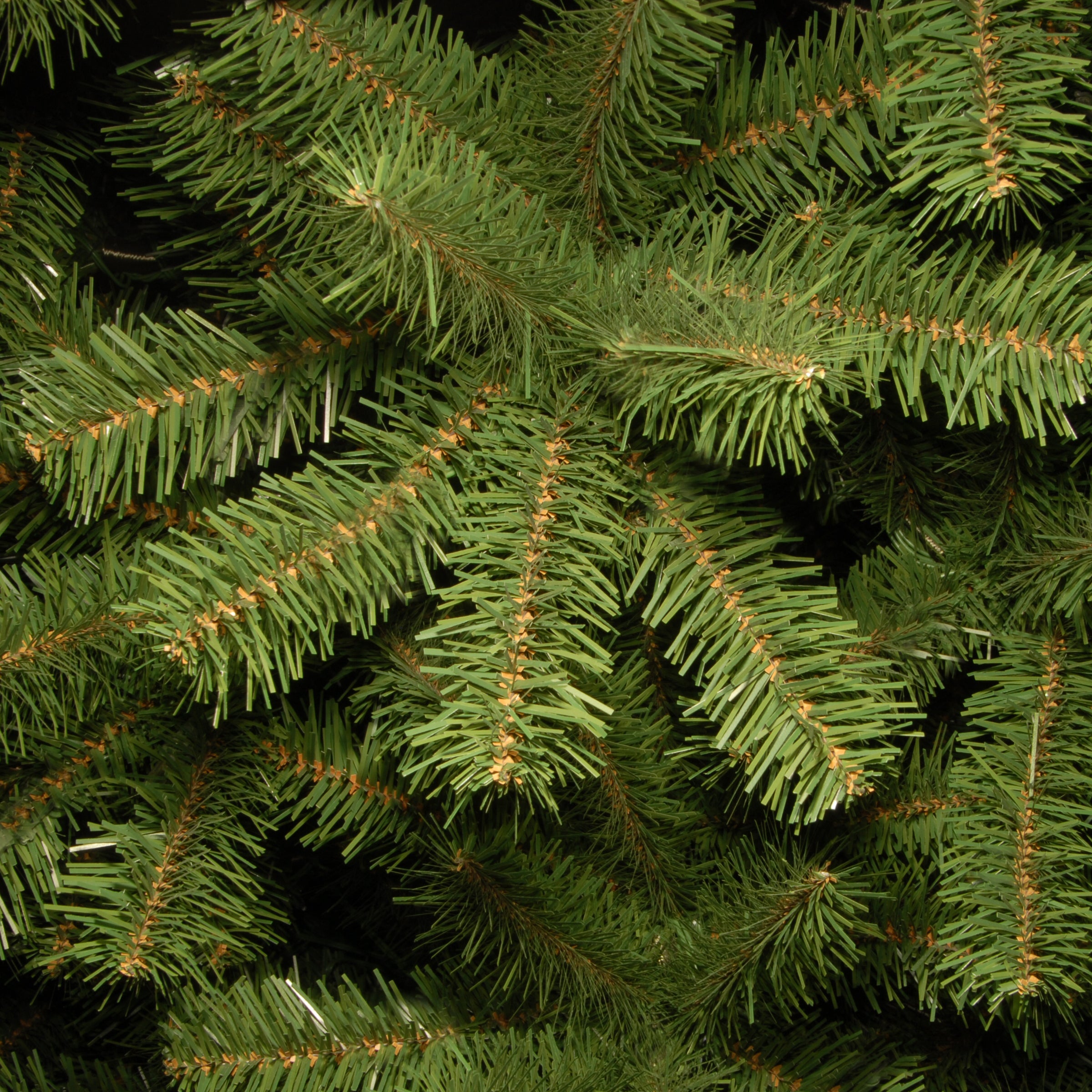 9 ft. North Valley Spruce Pencil Slim Tree