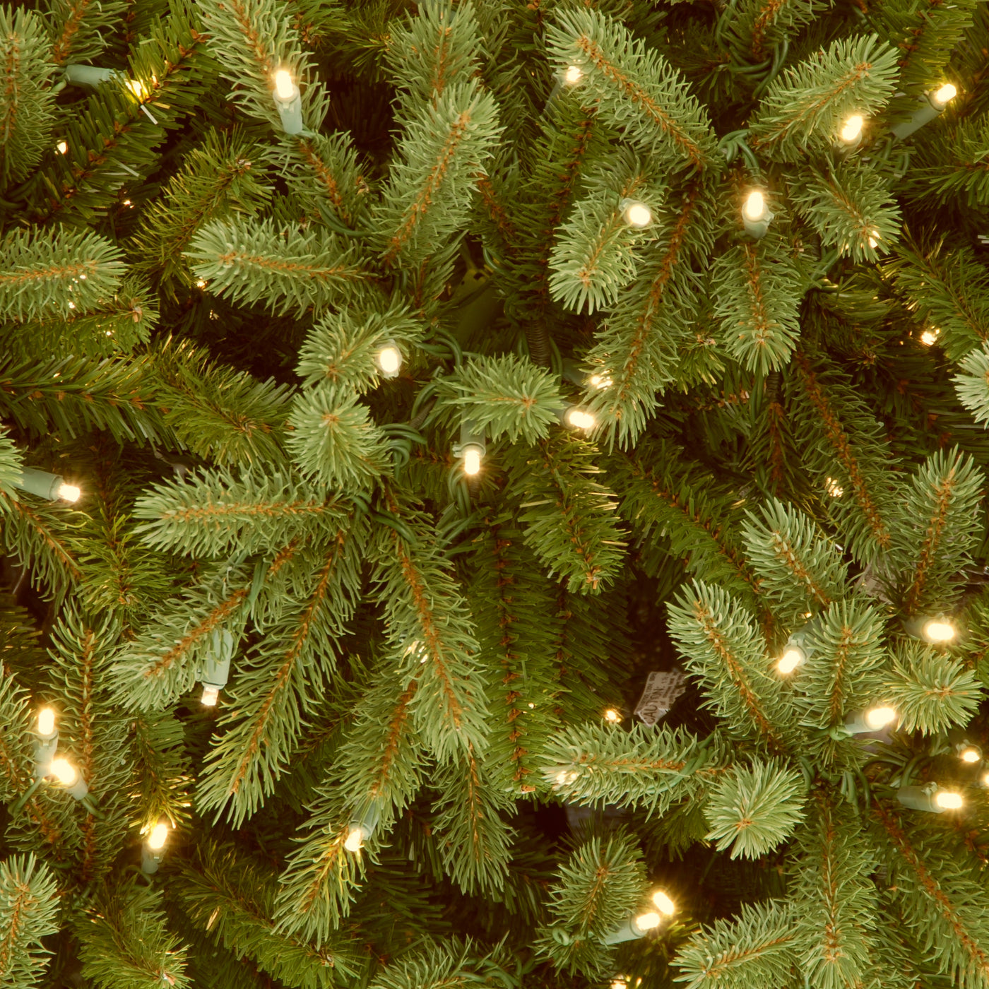 6.5 ft. Pre-Lit Jersey Fraser Fir Medium Tree with Dual Color LED Lights