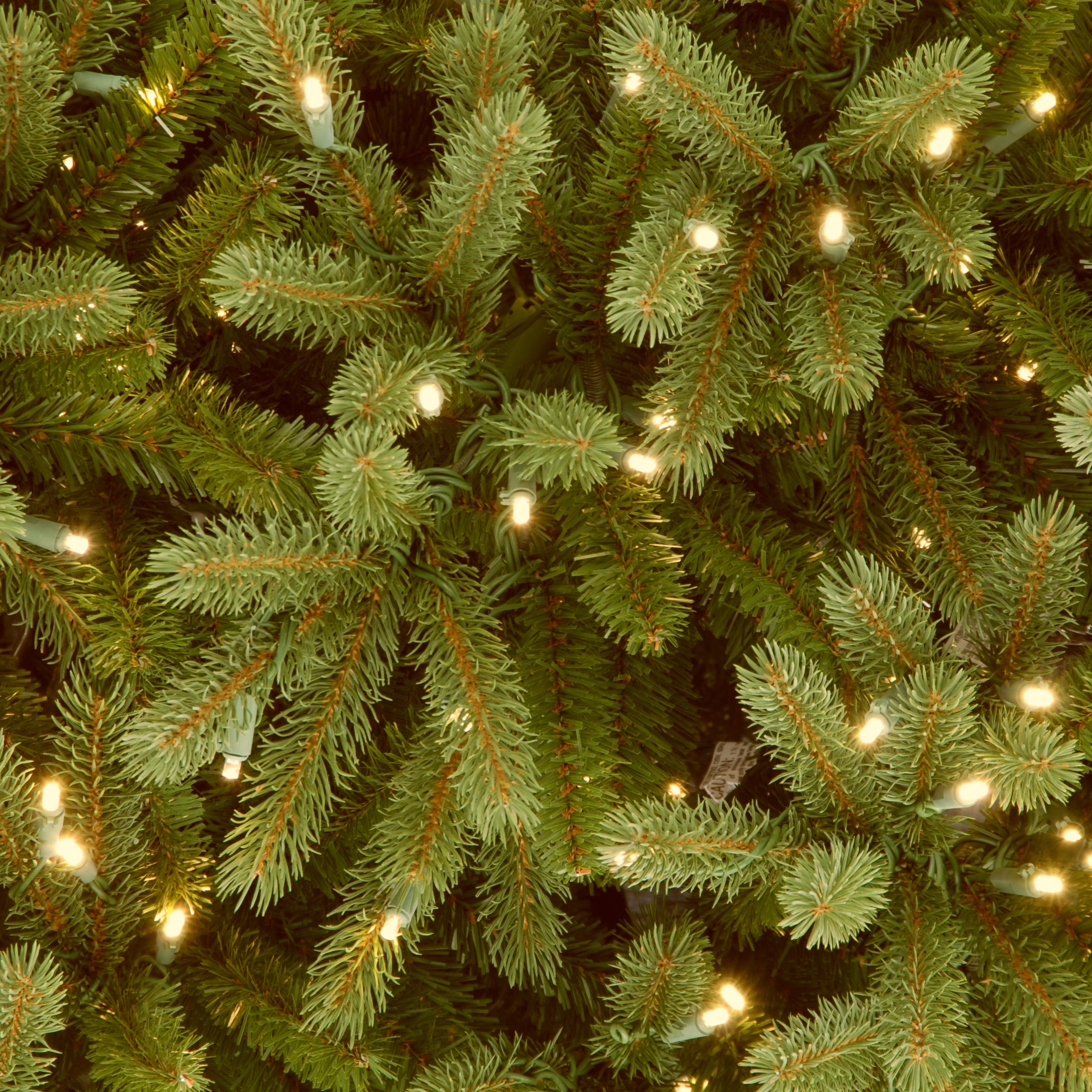 6.5 ft. Pre-Lit Jersey Fraser Fir Medium Tree with Dual Color LED Lights